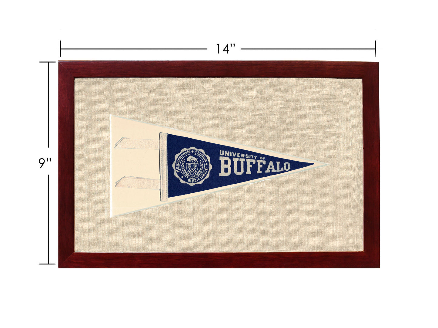 Vintage University of Buffalo Pennant