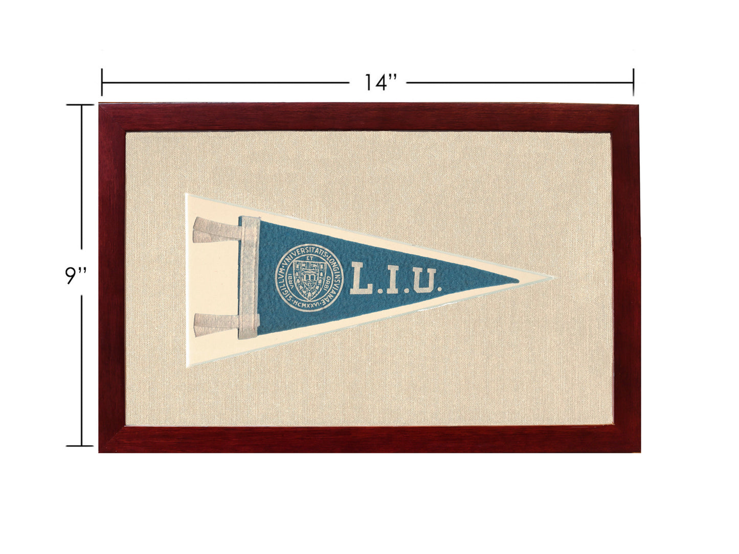 Vintage Long Island University Pennant