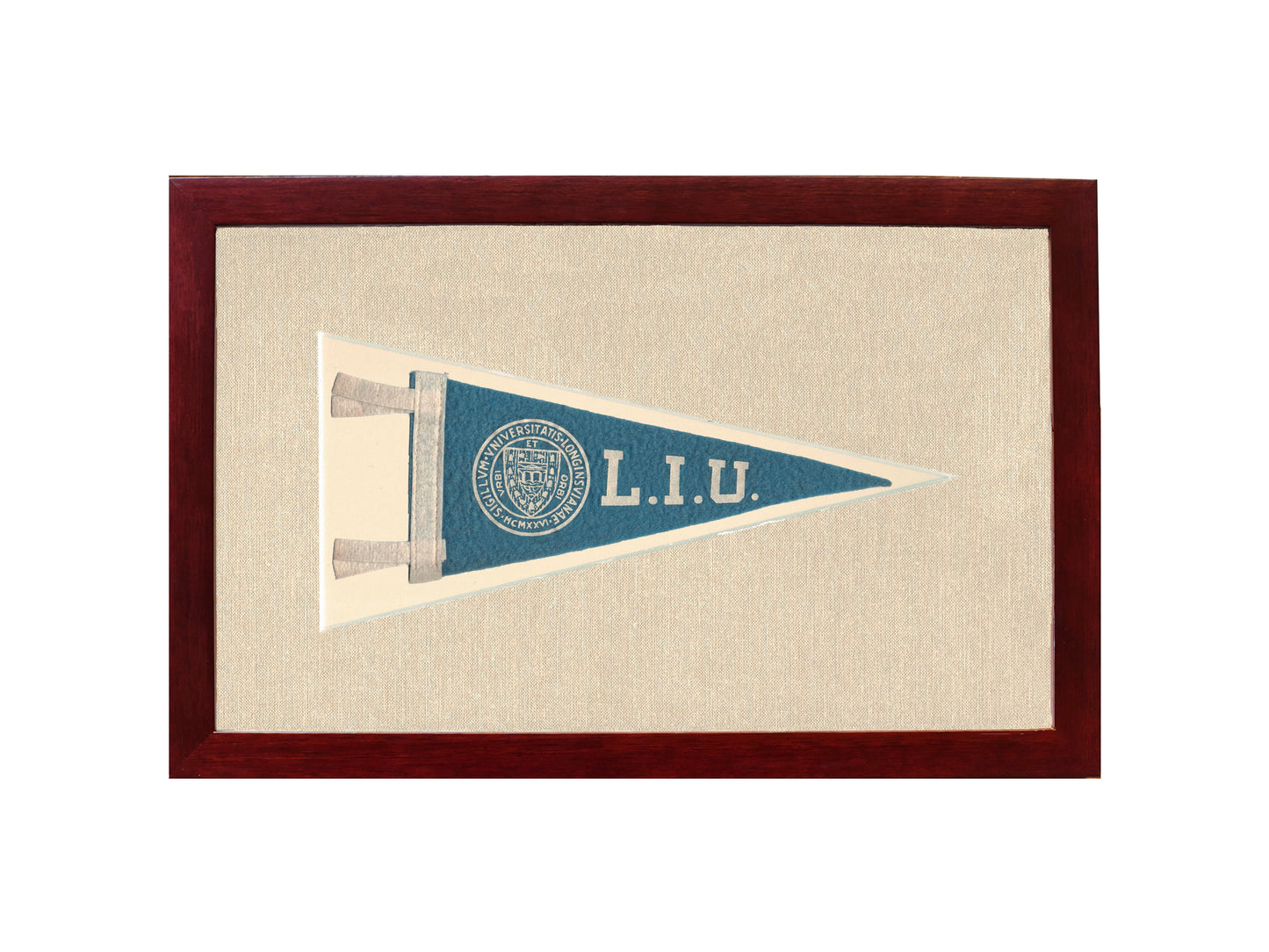 Vintage Long Island University Pennant