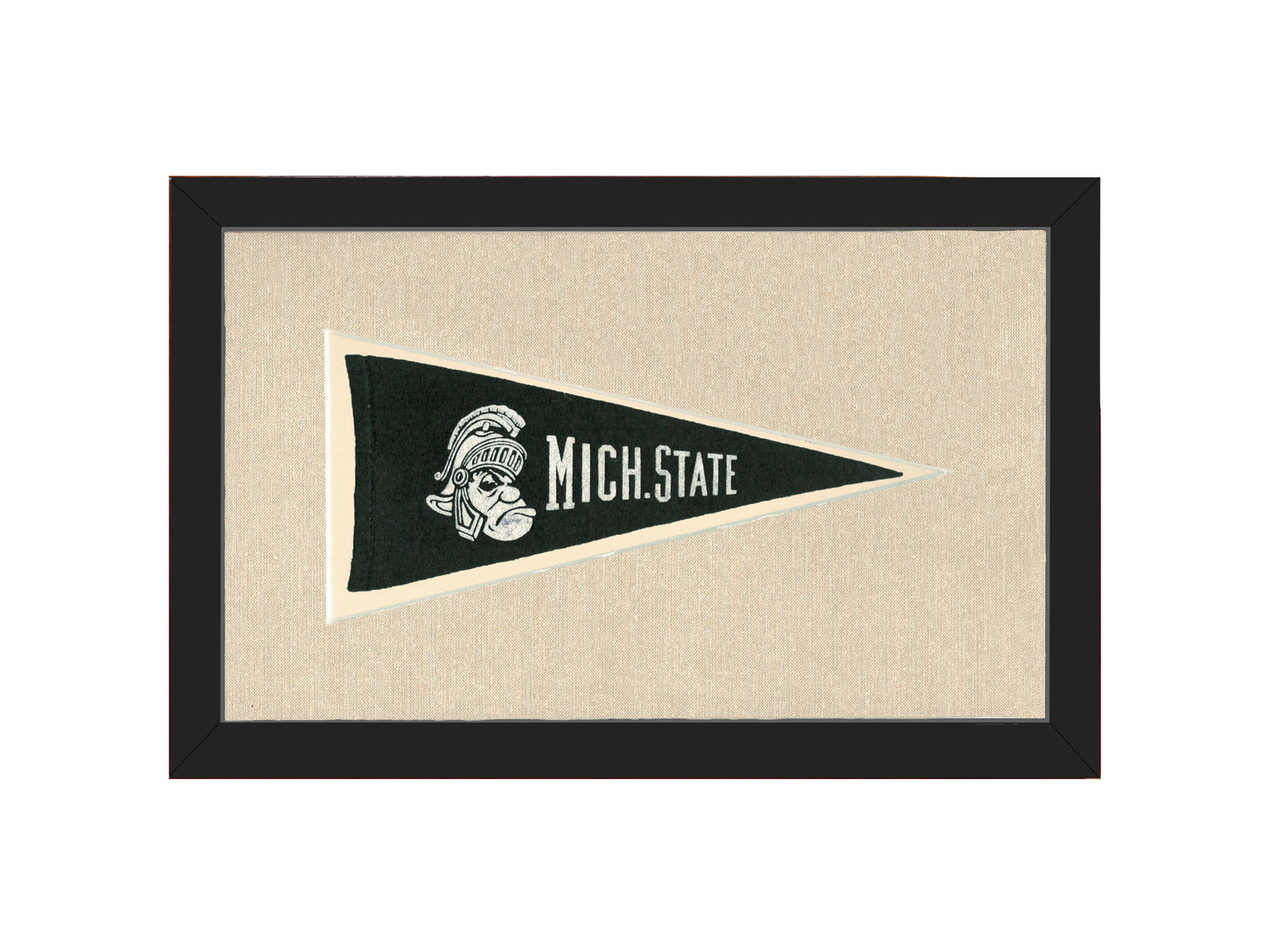 Vintage Michigan State Pennant