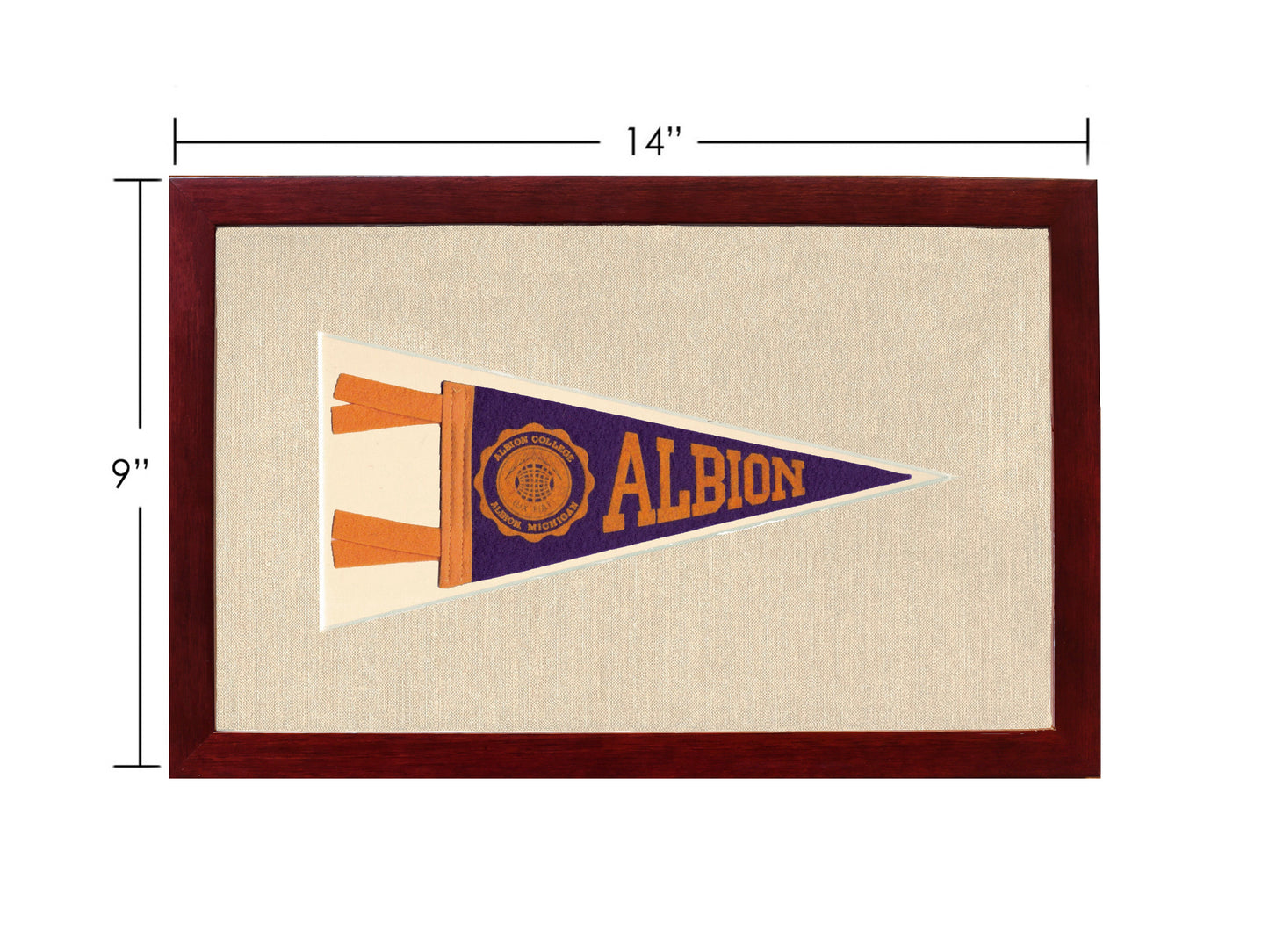 Vintage Albion College Pennant