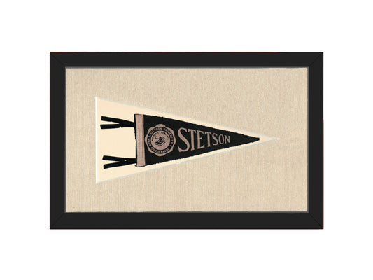 Vintage Stetson University Pennant