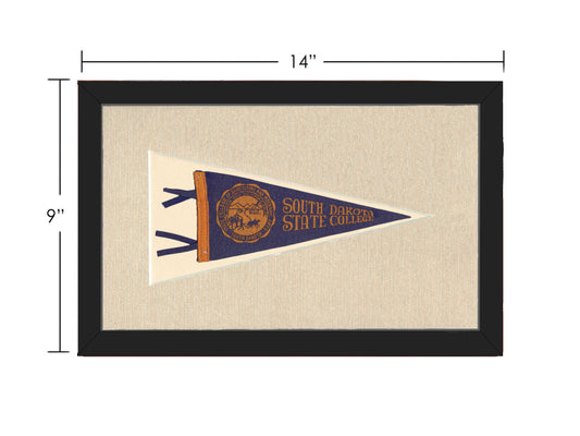 Vintage South Dakota State College Pennant