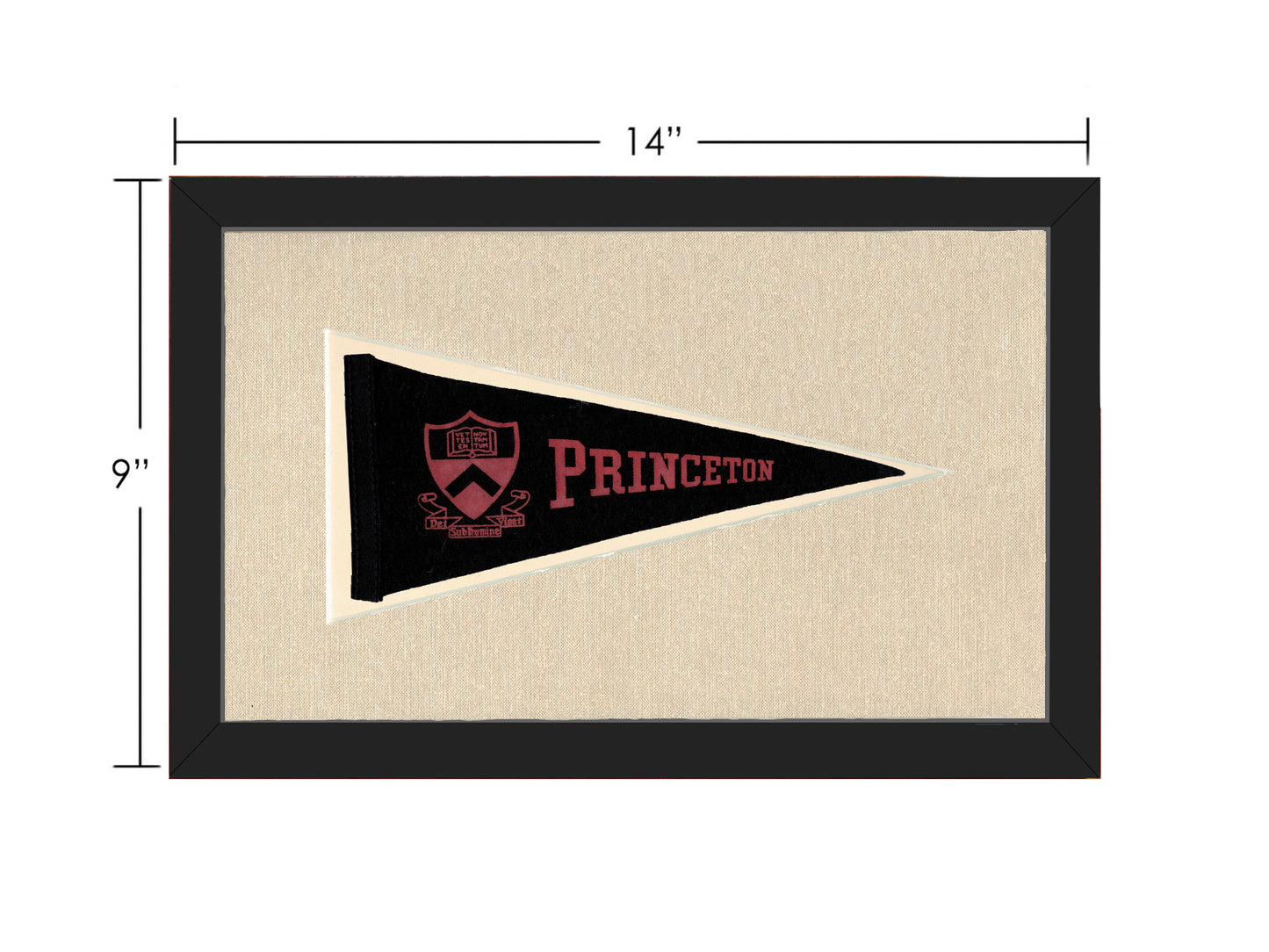 Vintage Princeton Pennant