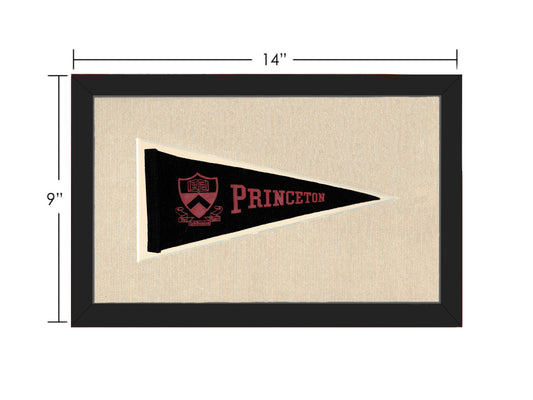 Vintage Princeton Pennant