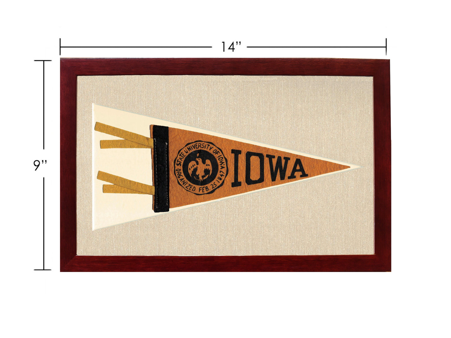 Vintage University of Iowa Pennant