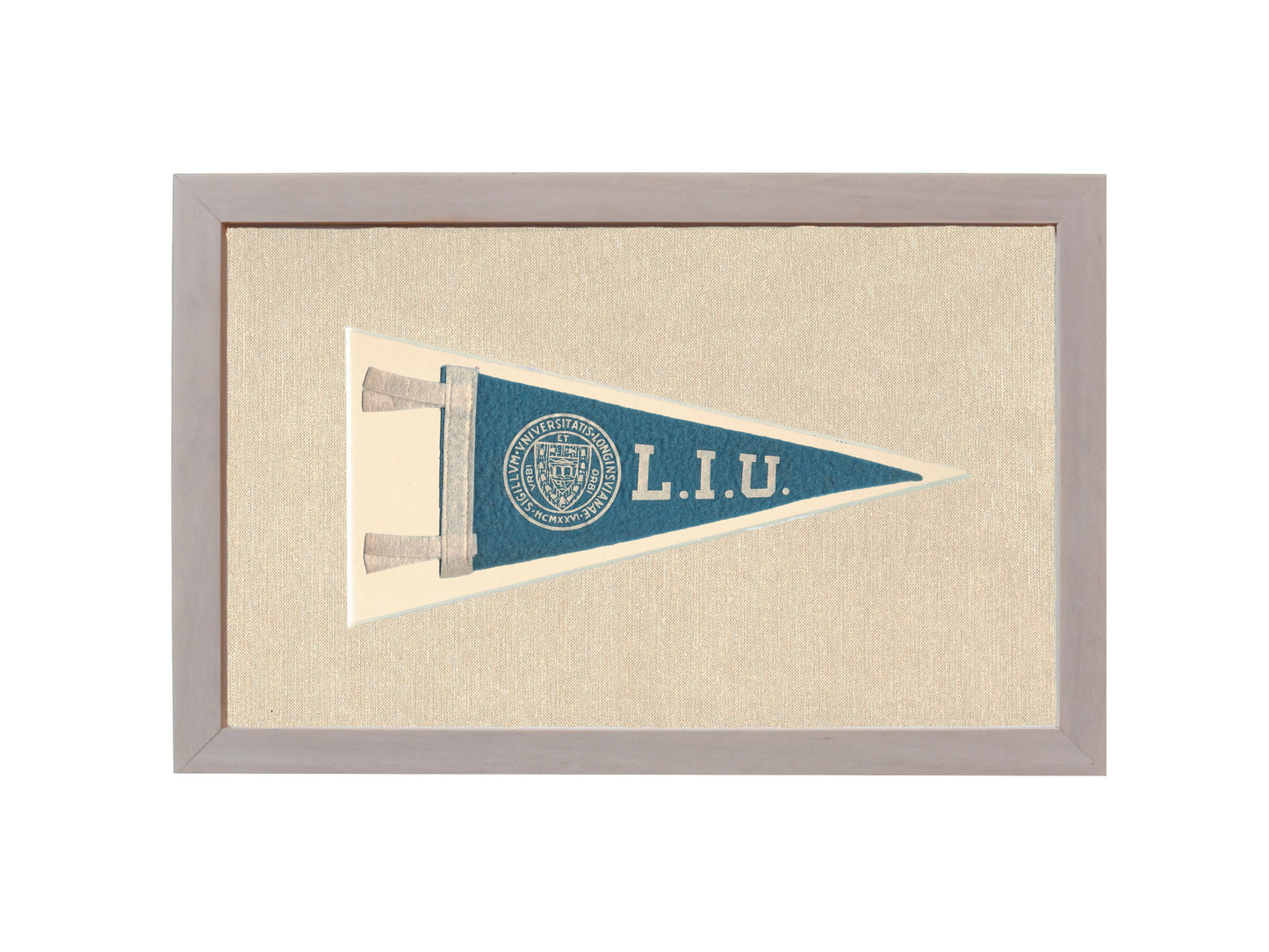 Vintage Long Island University Pennant