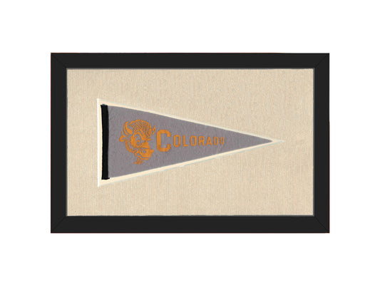 Vintage Colorado Pennant