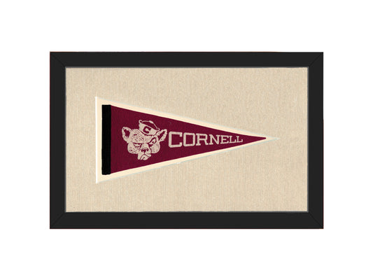 Vintage Cornell Pennant