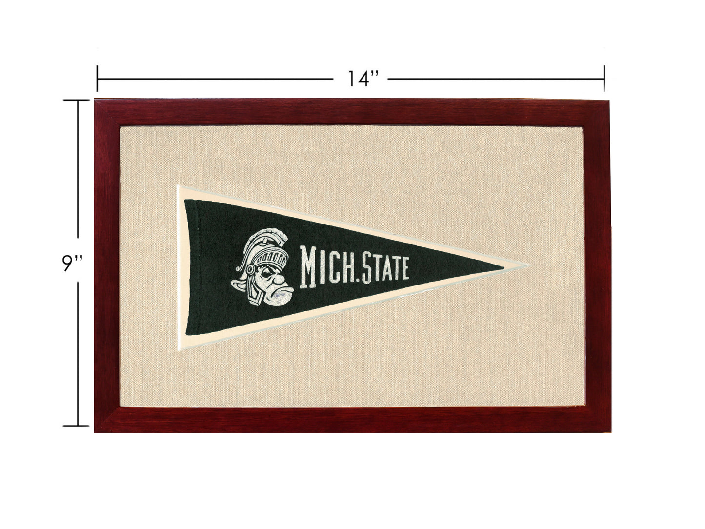 Vintage Michigan State Pennant