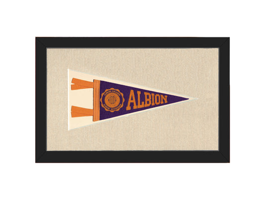 Vintage Albion College Pennant