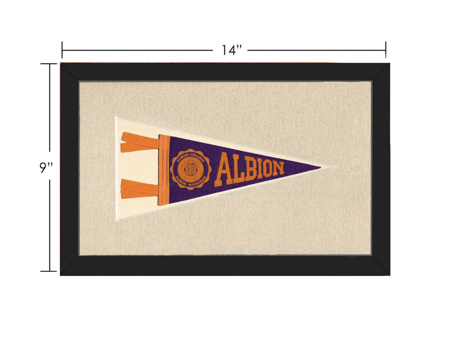 Vintage Albion College Pennant