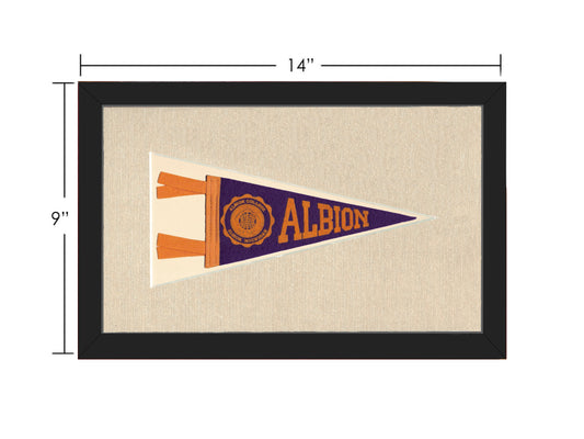 Vintage Albion College Pennant
