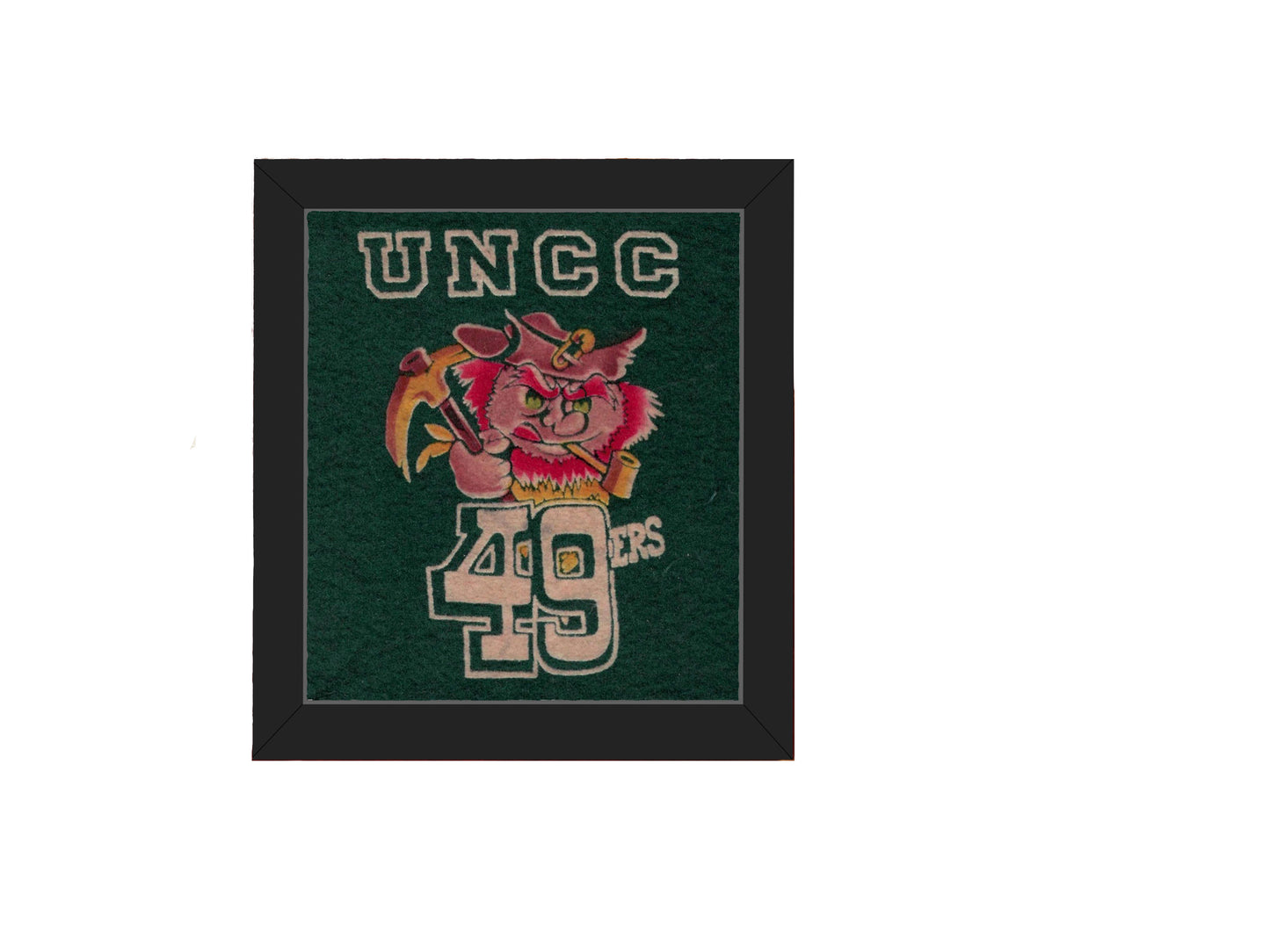 Vintage UNC at Charlotte Mascot Patch
