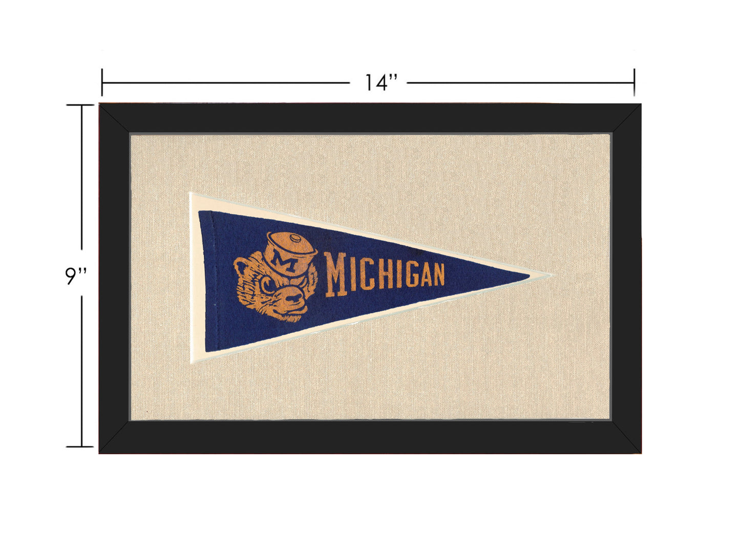 Vintage Michigan Pennant