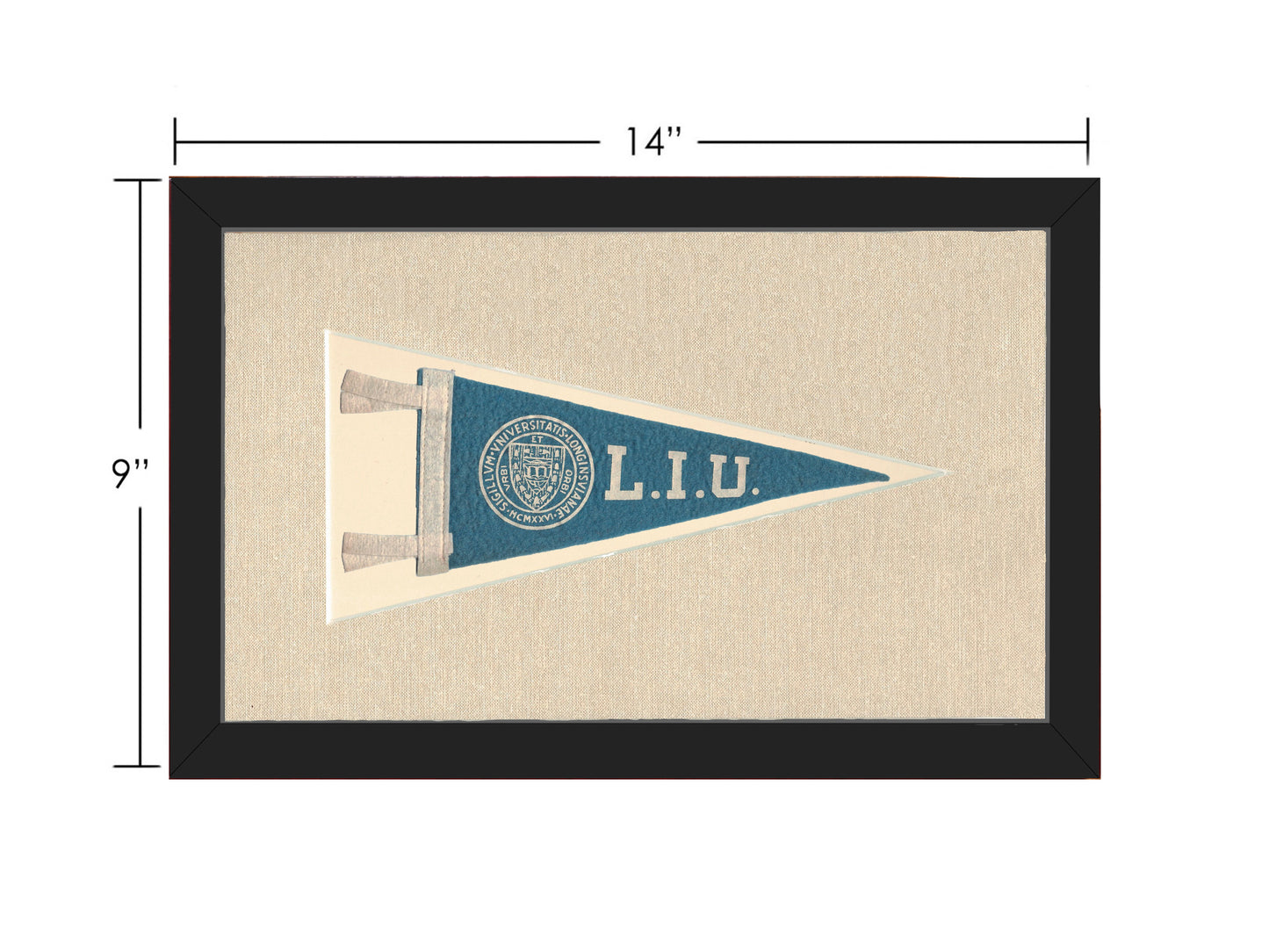 Vintage Long Island University Pennant