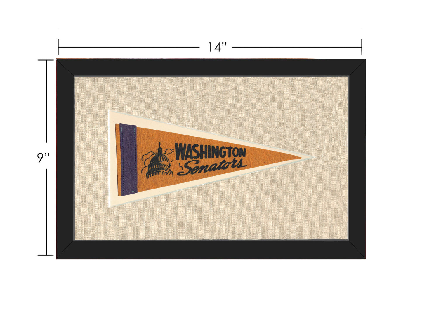 Vintage Washington Senators Pennant