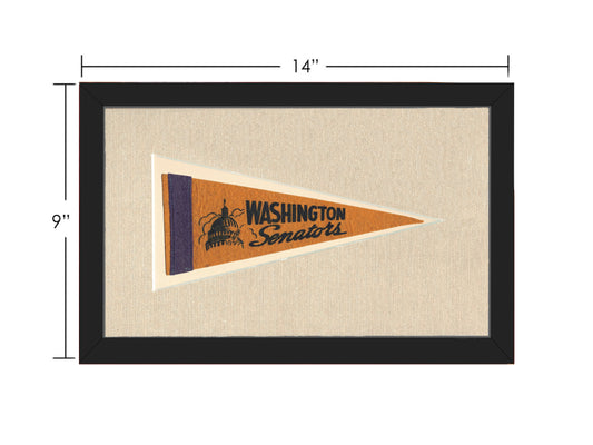 Vintage Washington Senators Pennant