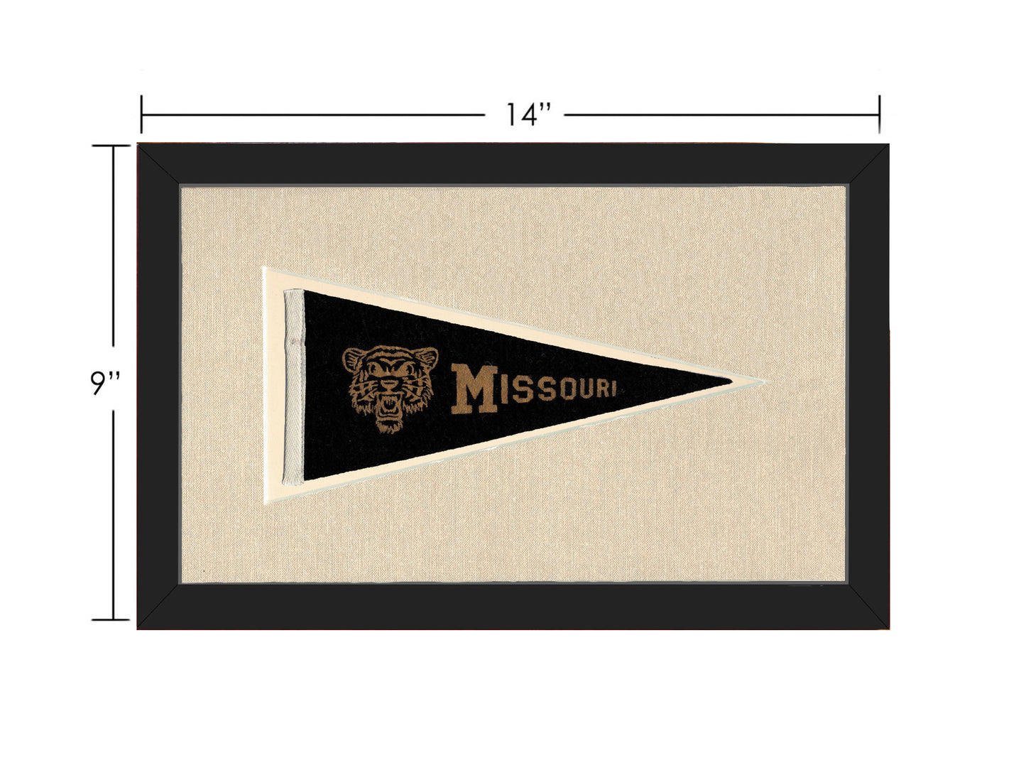 Vintage Missouri Pennant