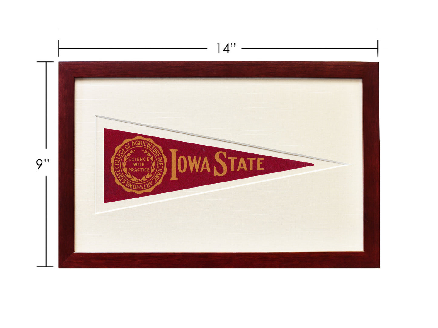 Vintage Iowa State Hormel Pennant