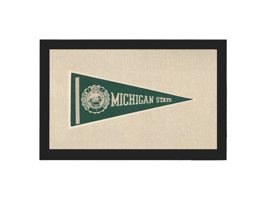 Vintage Michigan State Pennant