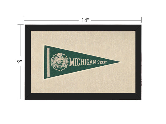 Vintage Michigan State Pennant