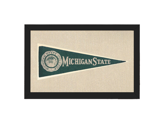 Vintage Michigan State Hormel Pennant