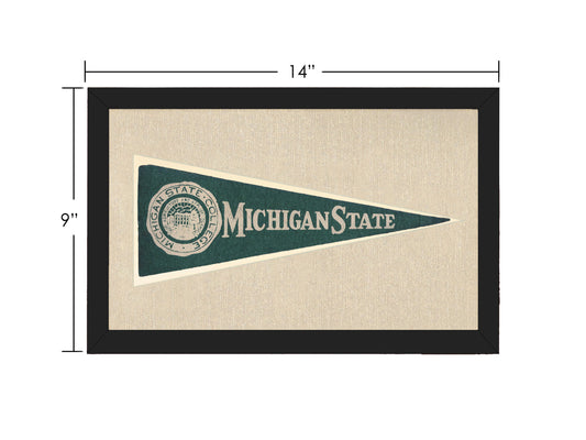 Vintage Michigan State Hormel Pennant