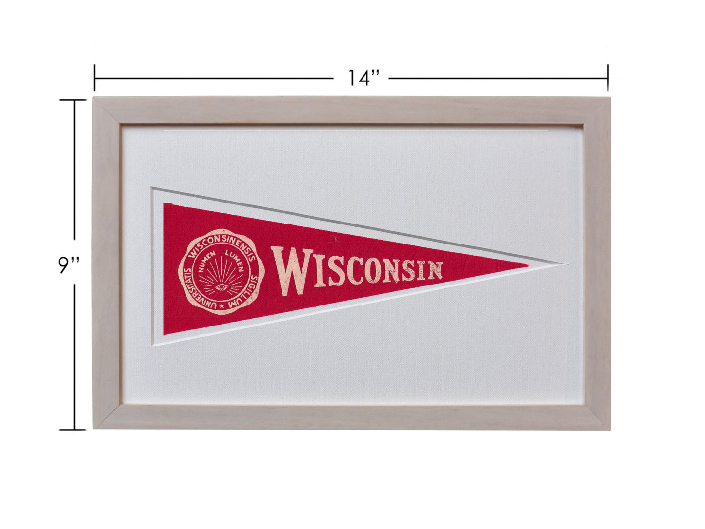 Vintage Wisconsin Hormel Pennant