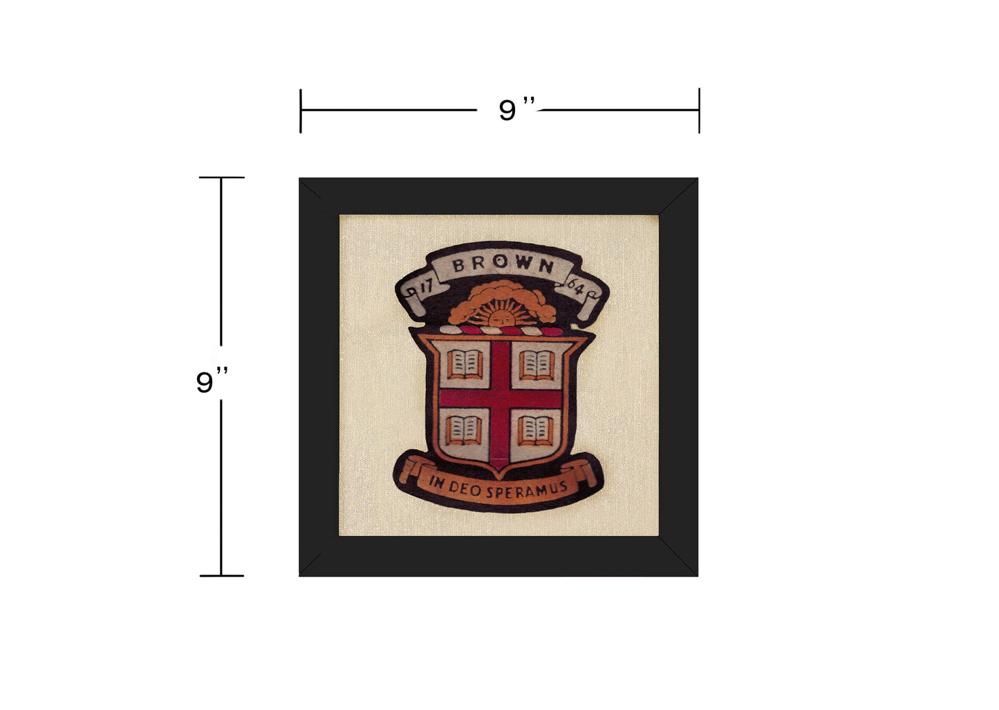 Vintage Brown University School Seal