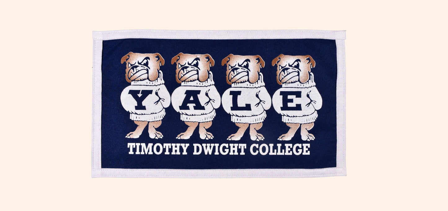 Vintage Yale University Timothy Dwight College Banner