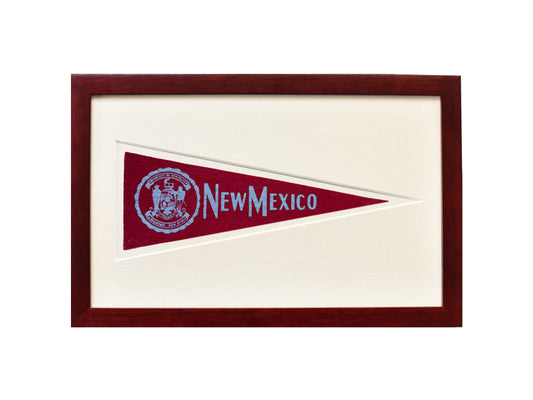 Vintage University of New Mexico Hormel Pennant