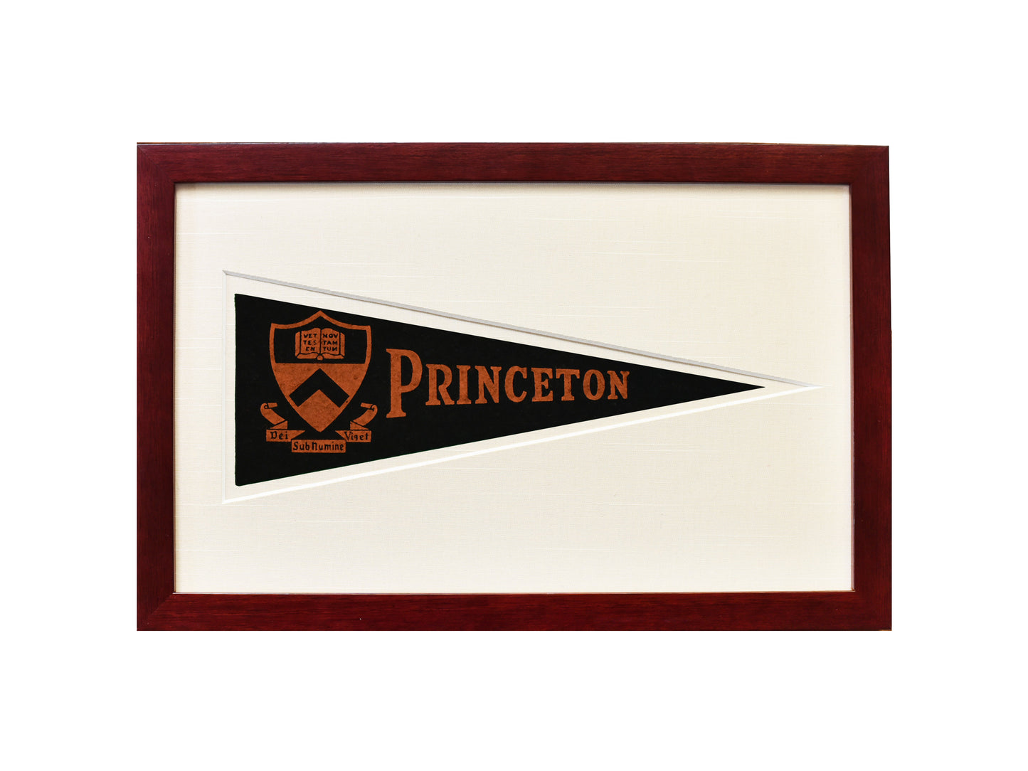 Vintage Princeton University Hormel Pennant