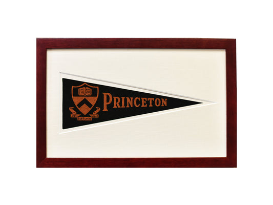 Vintage Princeton University Hormel Pennant
