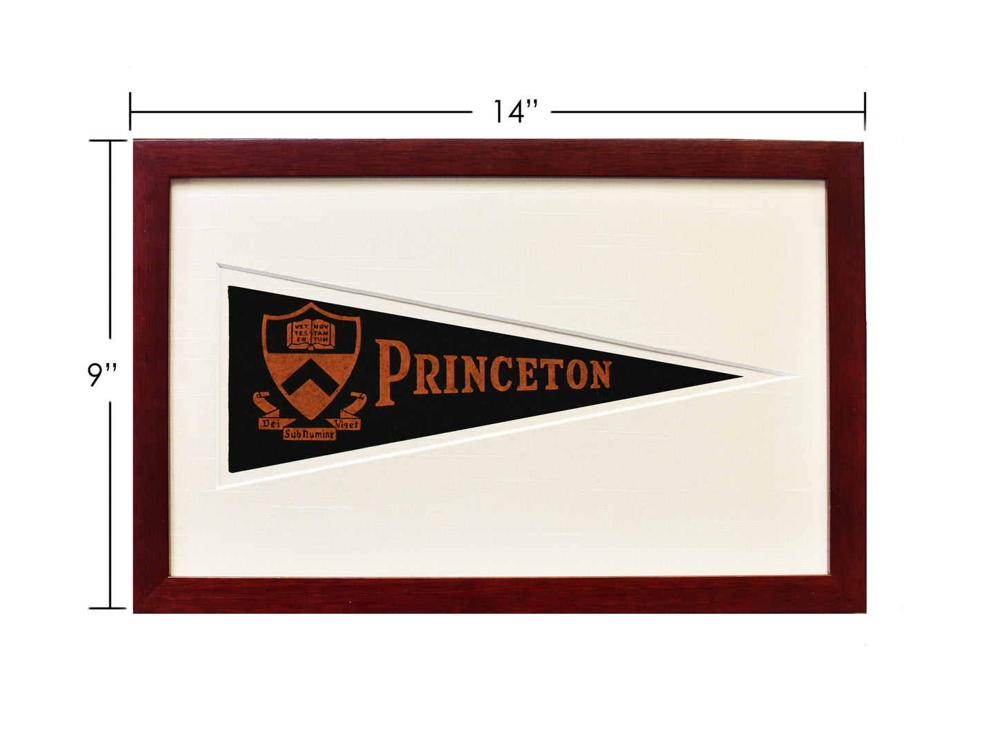 Vintage Princeton University Hormel Pennant