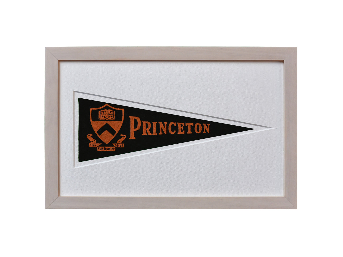Vintage Princeton University Hormel Pennant