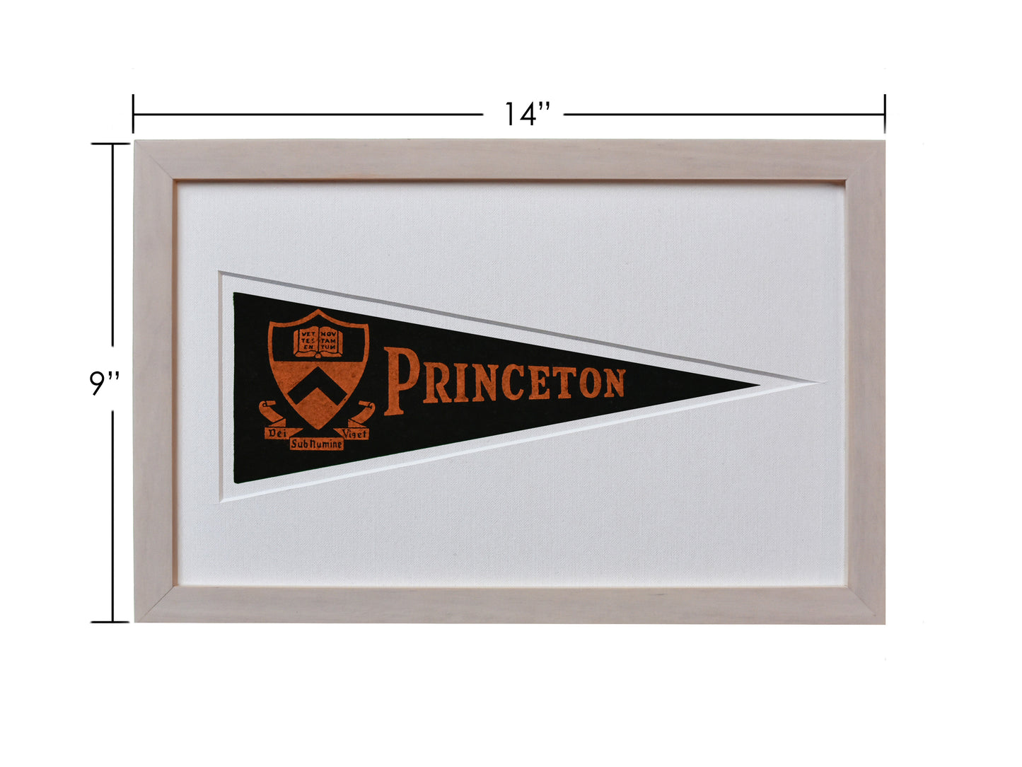 Vintage Princeton University Hormel Pennant
